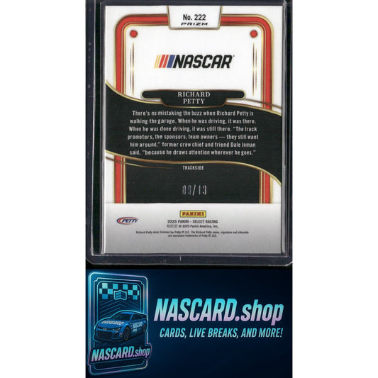 2025 Select Racing #222 Richard Petty Trackside Power Plaid Gold Prizms #/13 - NASCARD.shop