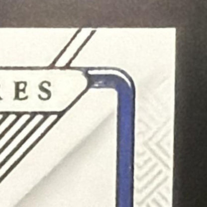 2025 Panini National Treasures Chase Elliott #22 Silhouettes 48/75 MEM