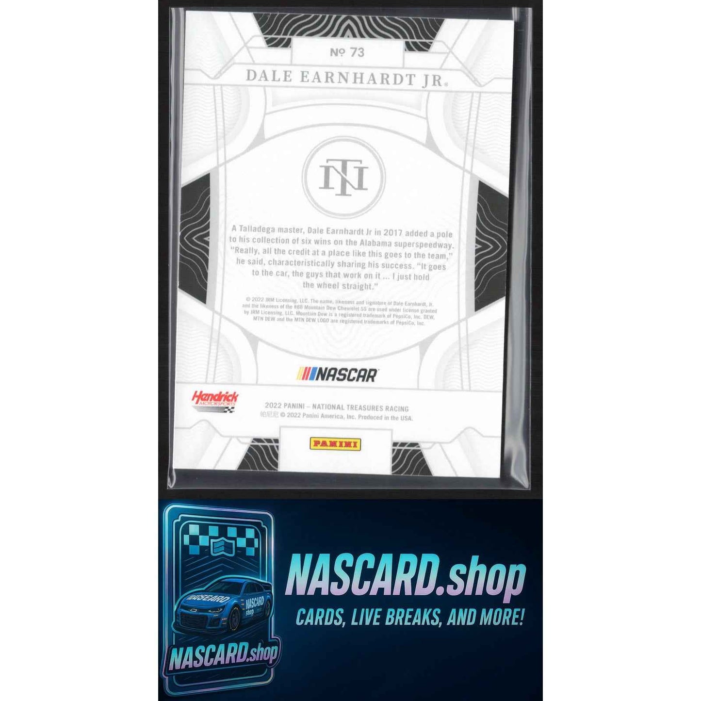 2022 Panini National Treasures #73 Dale Earnhardt Jr Holo Silver #01/15