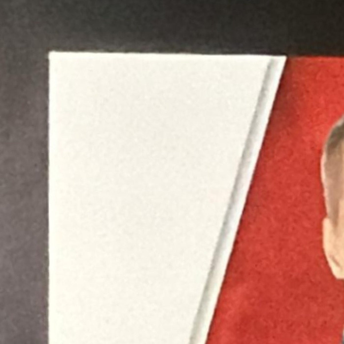 2019 Panini Prime William Byron NASCAR Shadowbox Signatures Team Owner 1/1