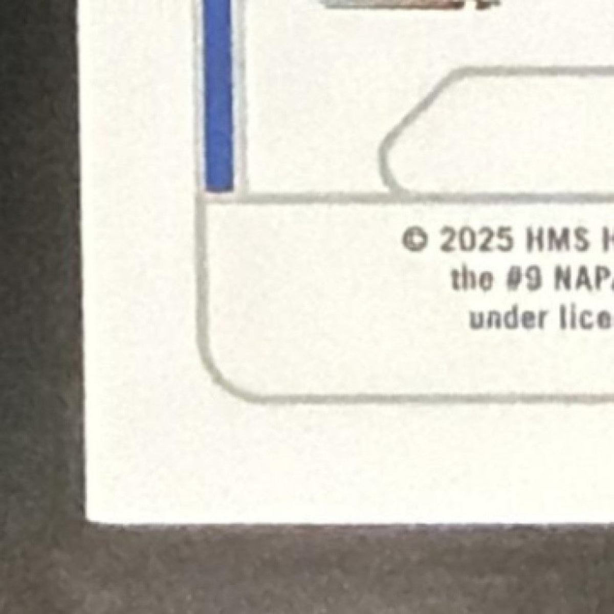 2025 Panini National Treasures Chase Elliott #22 Silhouettes 48/75 MEM