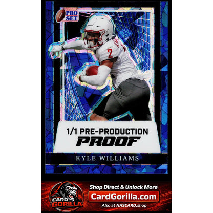 2024 Leaf Metal Kyle Williams Pre-Production Proof #1/1
