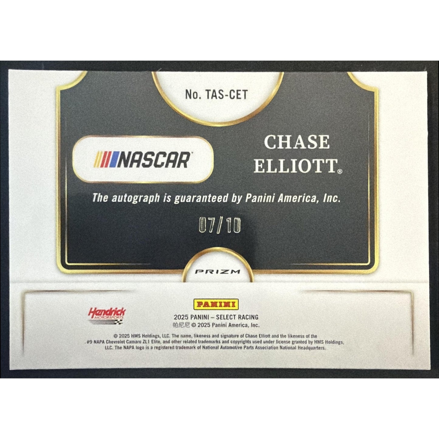 2025 Panini Select Chase Elliott Trackside Action Signatures Gold Prizm /10